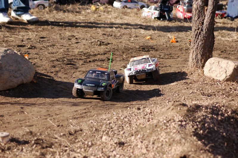 DSC_4382.jpg