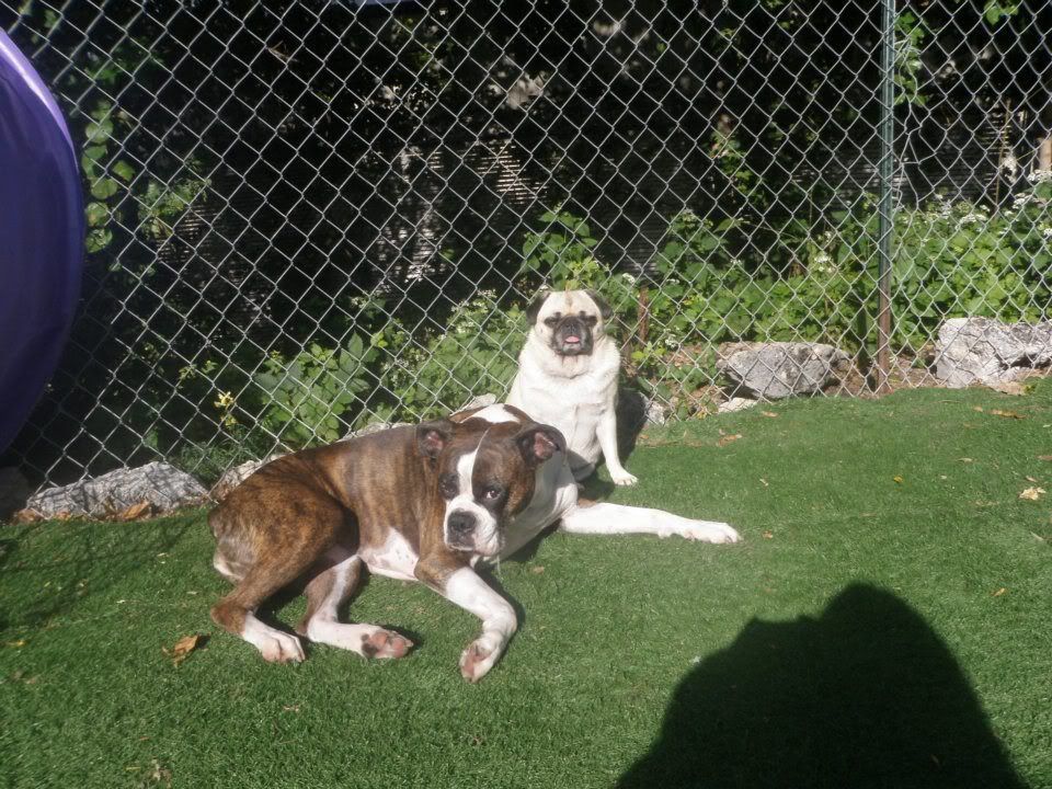 roxy_mindy.jpg