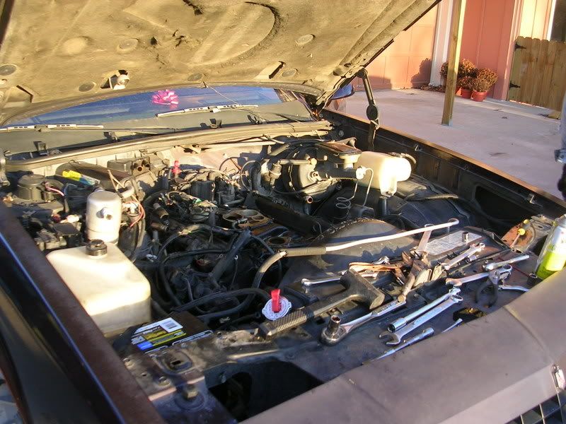 DSCN4233.jpg