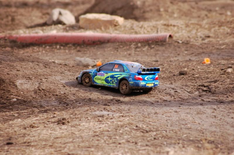DSC_4175.jpg