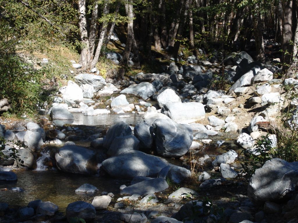 DSC09948.jpg