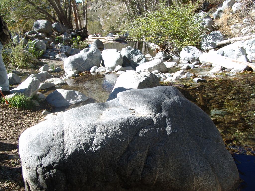 DSC09861.jpg