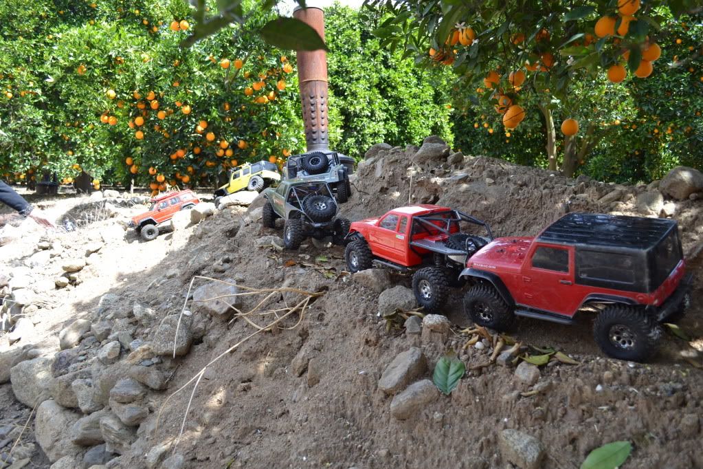 DSC_0034.jpg