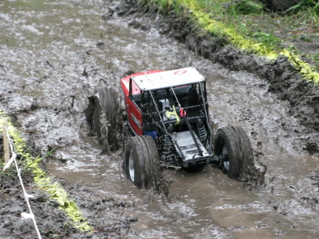 IMG_5247.jpg
