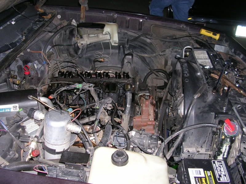 DSCN4241.jpg
