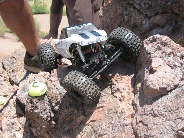 IMG_1440.jpg