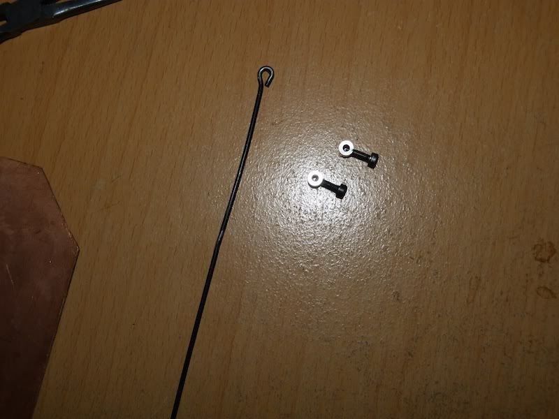 P1000130.jpg
