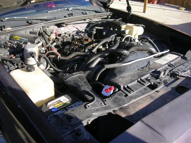 DSCN4215.jpg