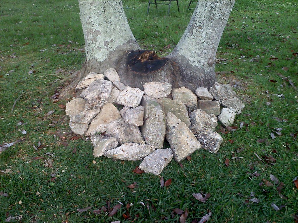 20120518184420.jpg