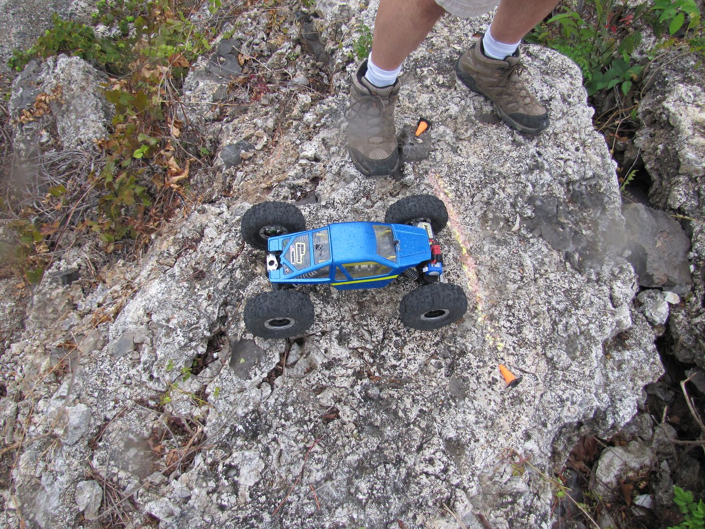 IMG_1168.jpg