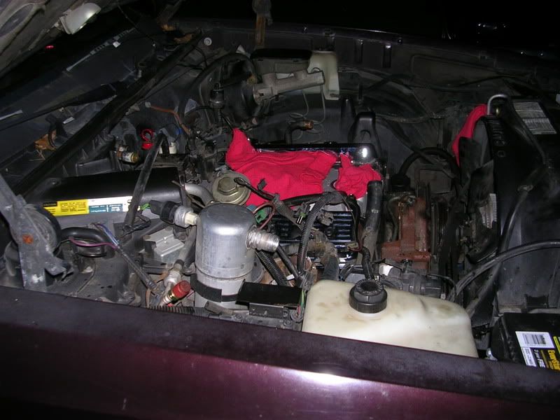 DSCN4248.jpg