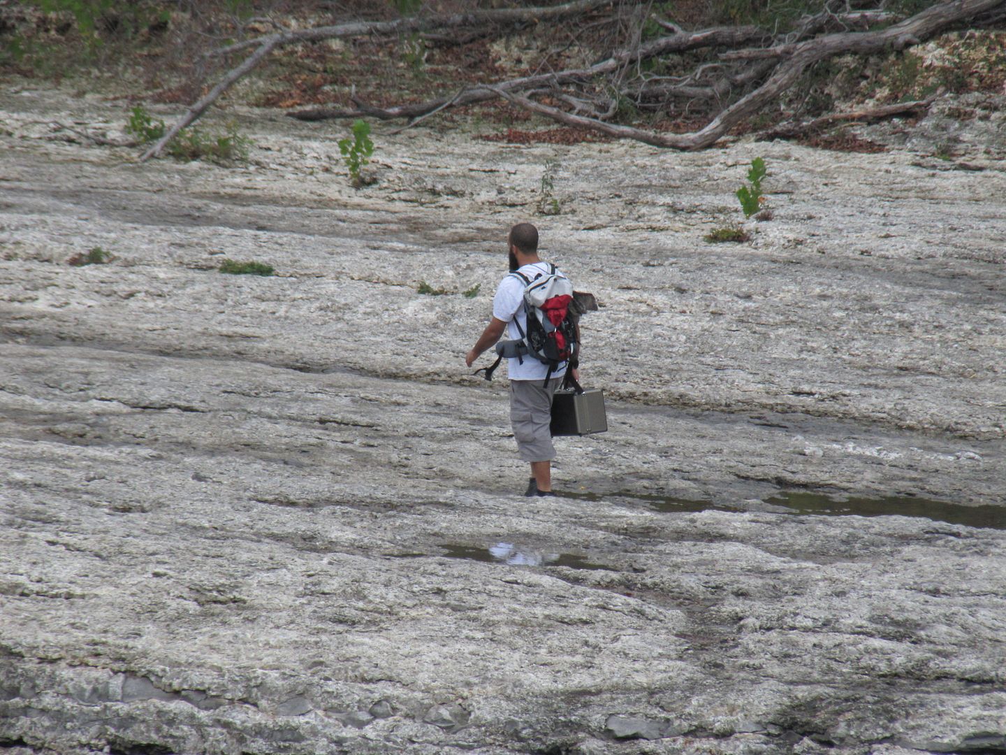 IMG_1209.jpg