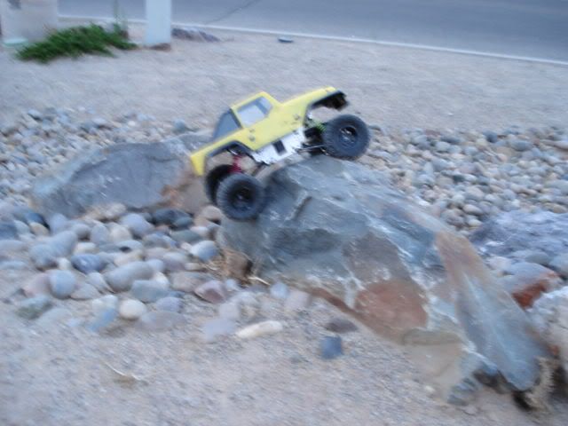 Mytltcrawlerpic1.jpg