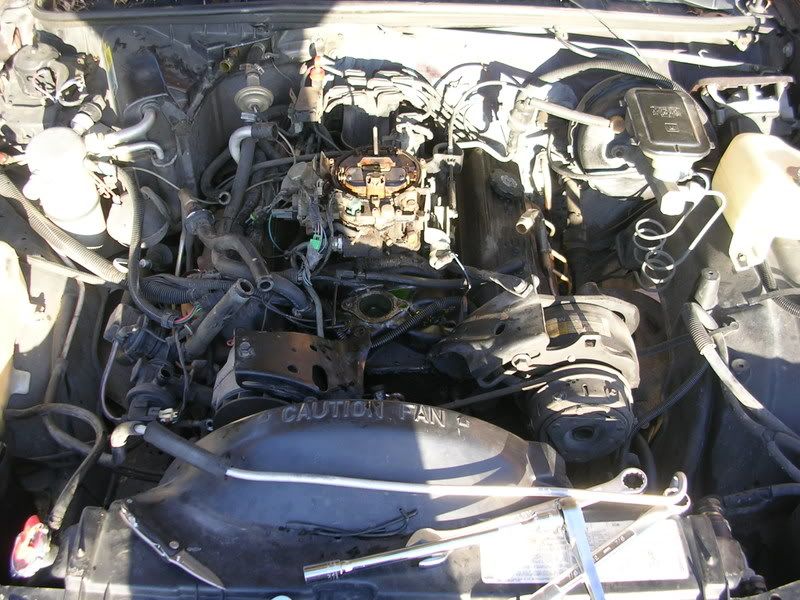 DSCN4225.jpg