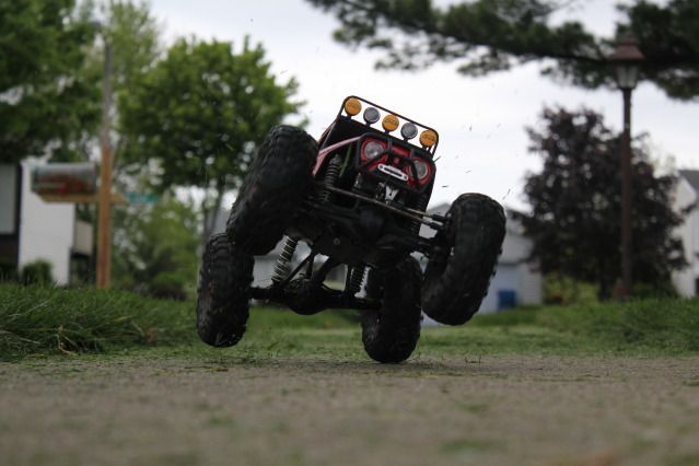 IMG_2600.jpg
