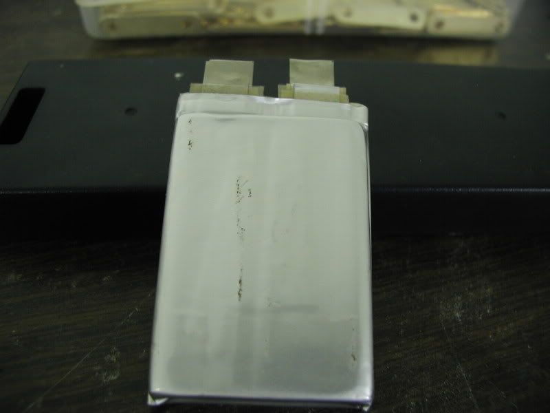 P1010096-1.jpg