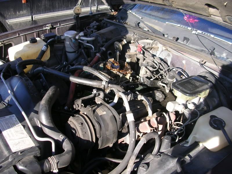 DSCN4217.jpg