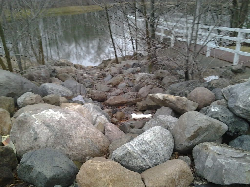 2013-03-11095644_zps71100483.jpg