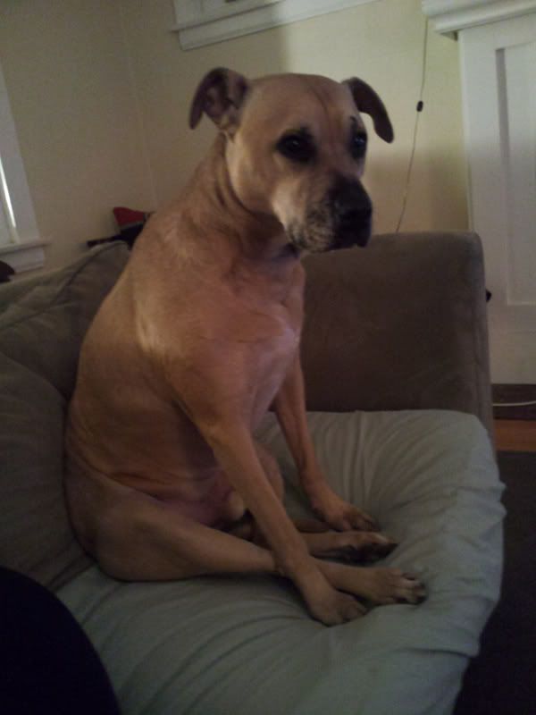 cooper_sit.jpg