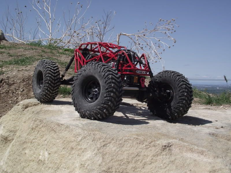 compandbuildpics008.jpg