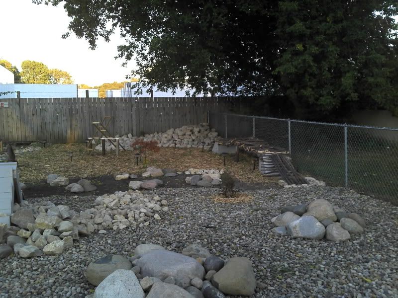 2011-09-17_19-22-07_414.jpg