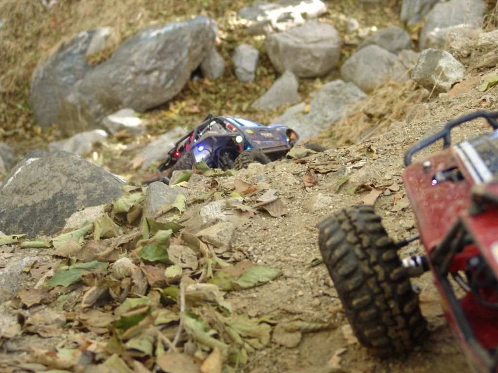 DSC09891.jpg