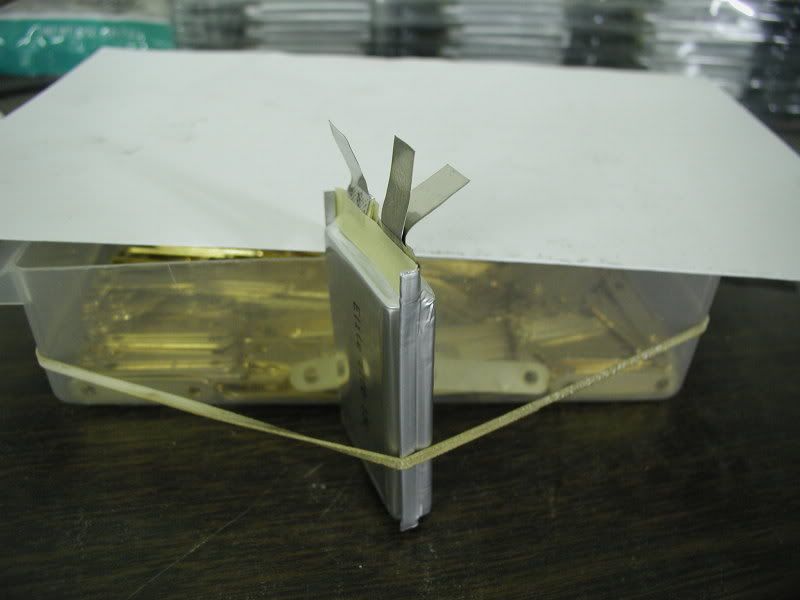 P1010095-3.jpg