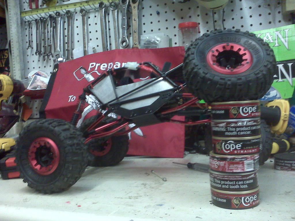 IMG00463.jpg