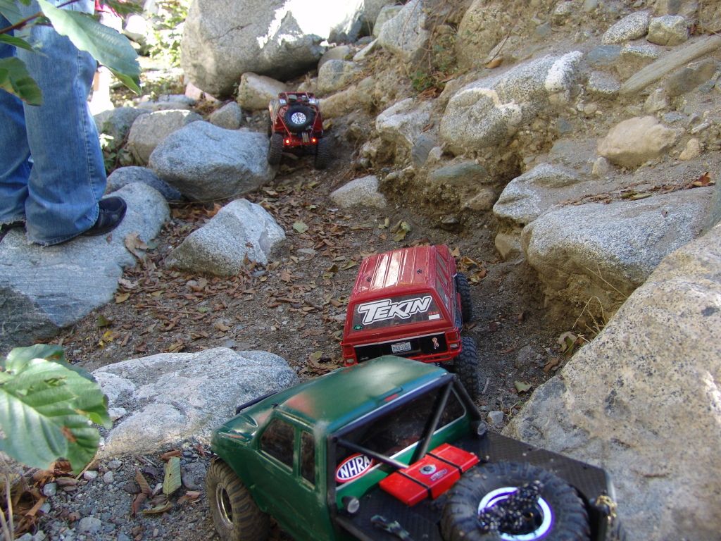 DSC09853.jpg