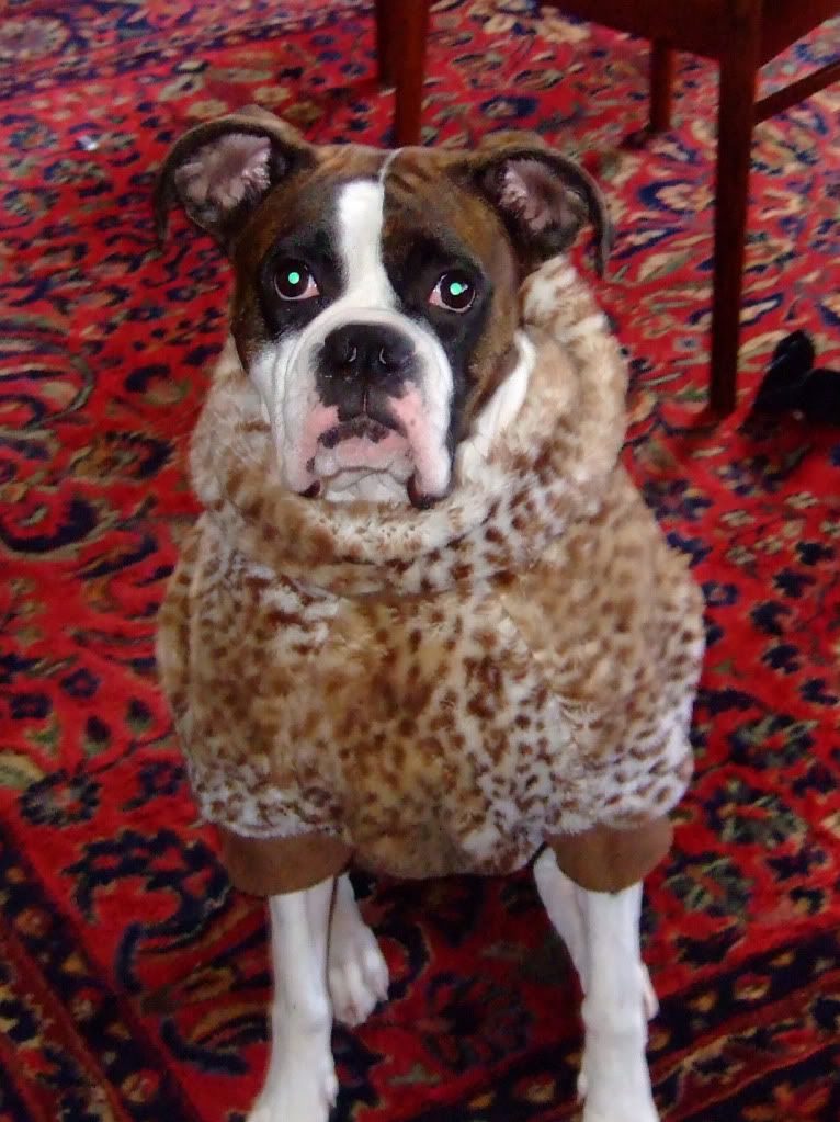 roxy-coat_01.jpg