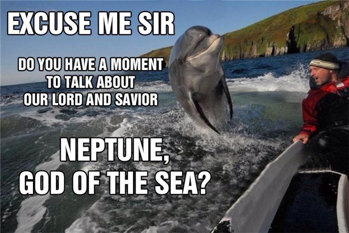 god_dolphin-700x468.jpg