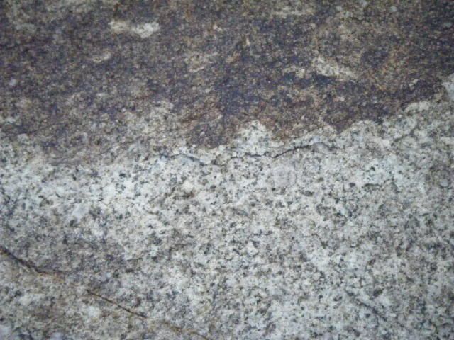 DSCF1328.jpg
