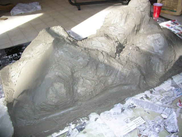 P1010420.jpg