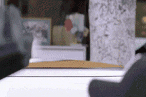 fittycat.gif