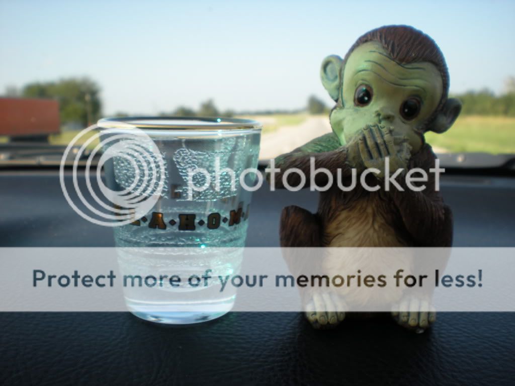 DSCN3686.jpg