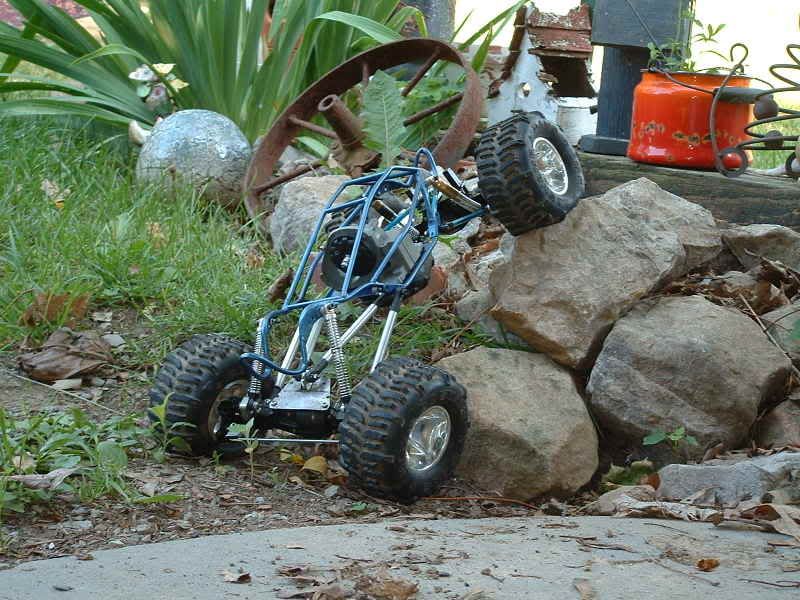 tuber015.jpg