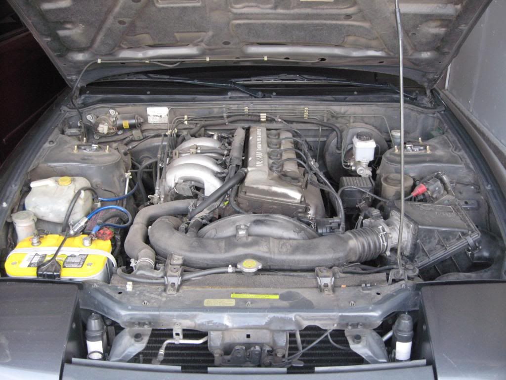 IMG_2235_zps7e485774.jpg