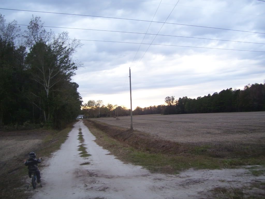 Picture407.jpg
