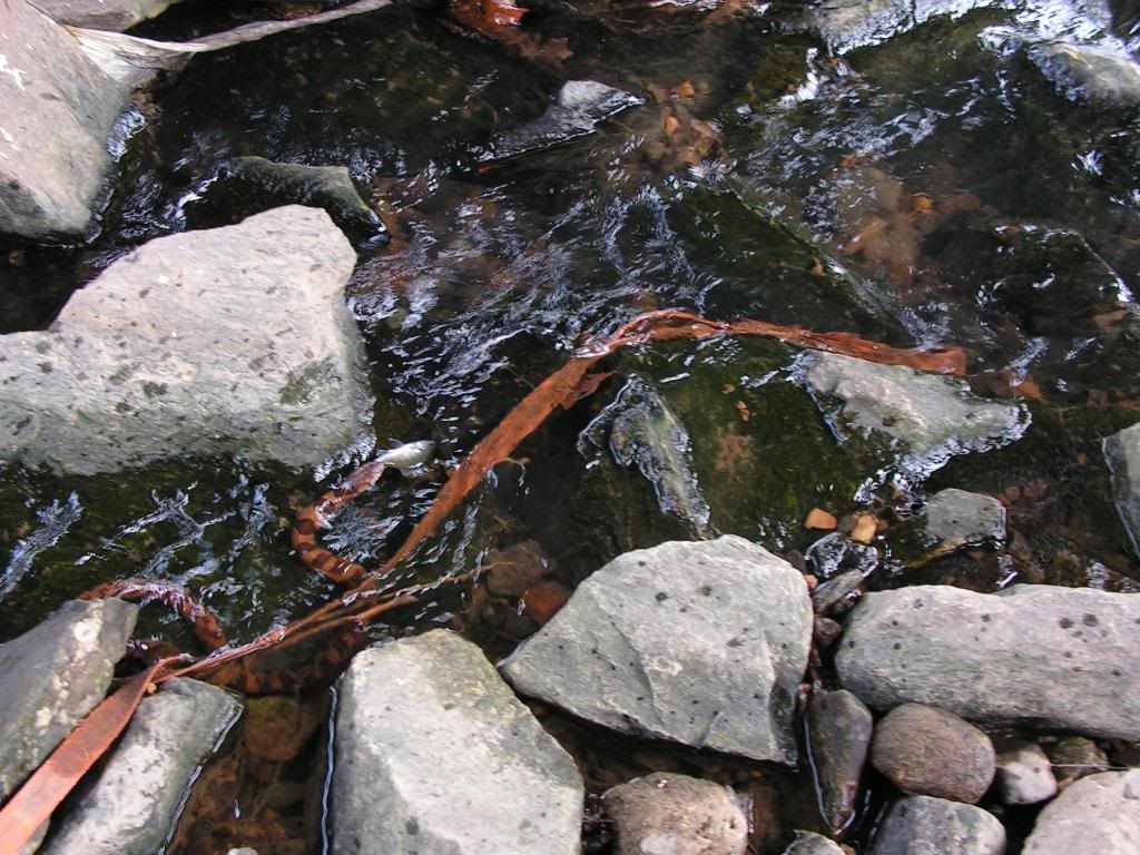 PICT0121.jpg