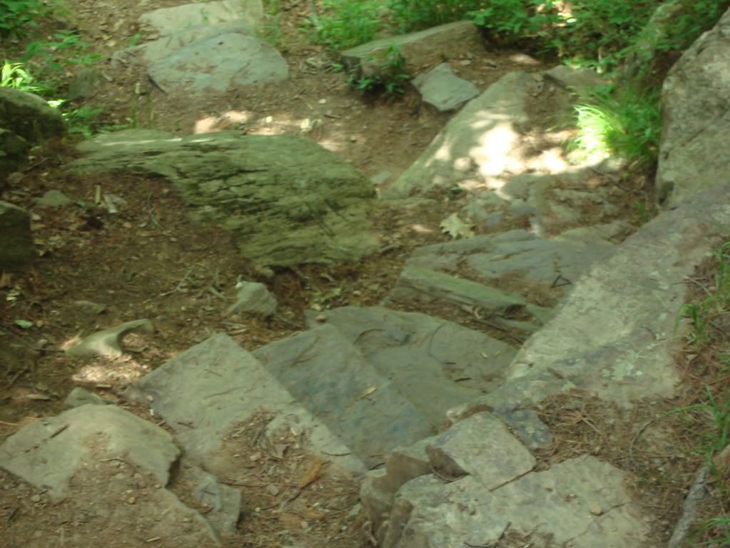 DSC00935.jpg