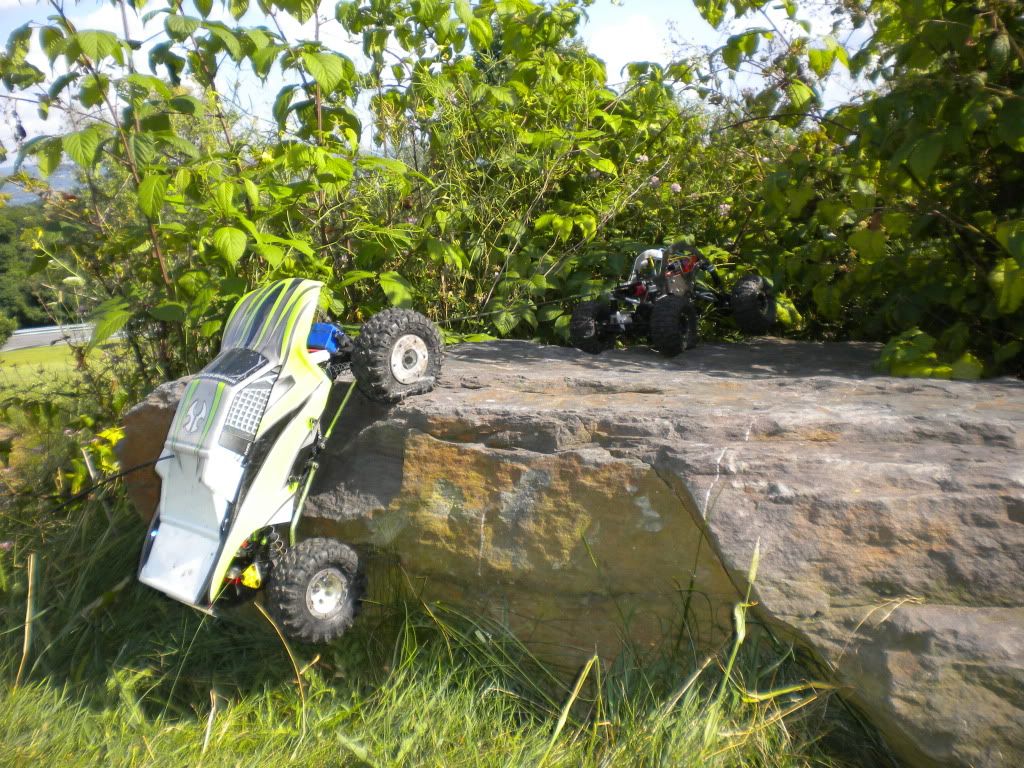 crawler6.jpg