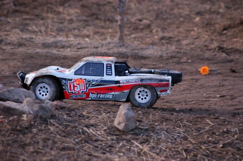 DSC_4392.jpg