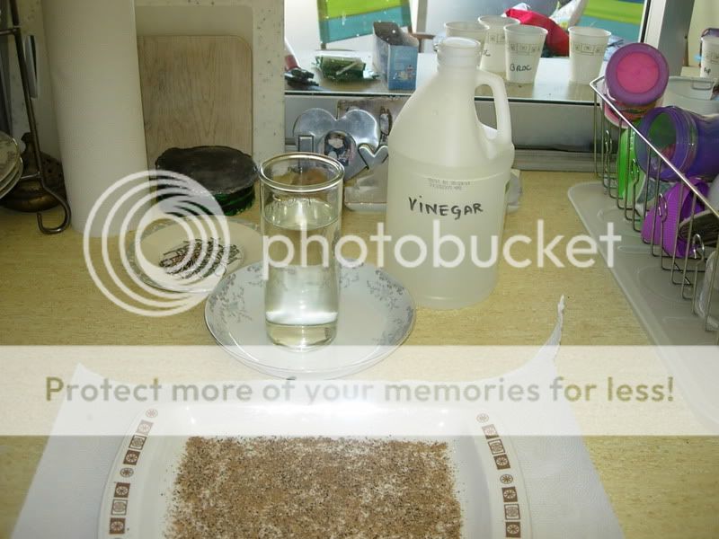 DSCN7907.jpg