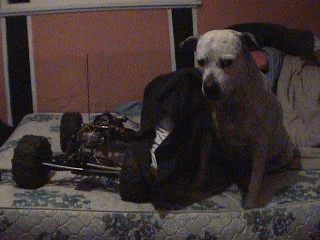 DSC00486.jpg