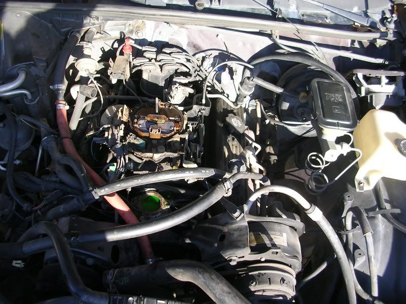 DSCN4219.jpg