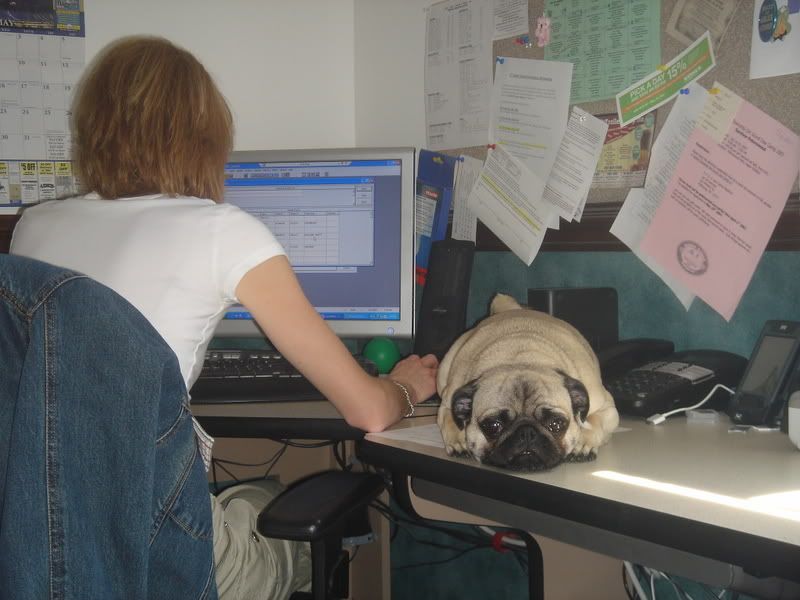 Max05-01-07001.jpg
