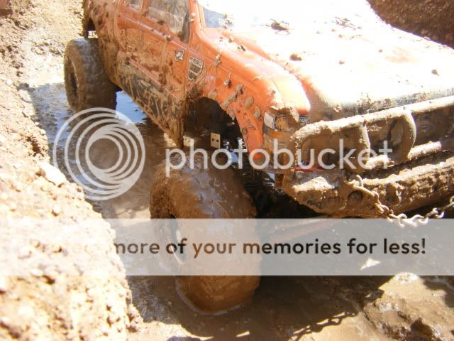 DSCF0681.jpg