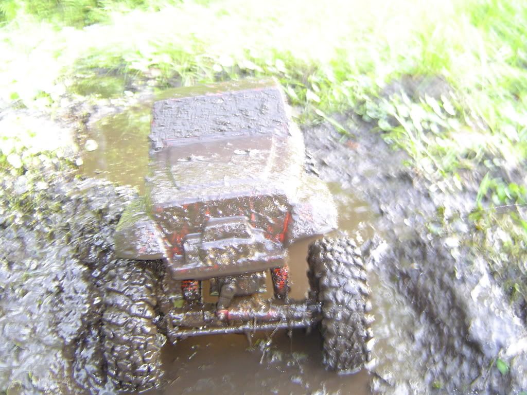 Picture220.jpg