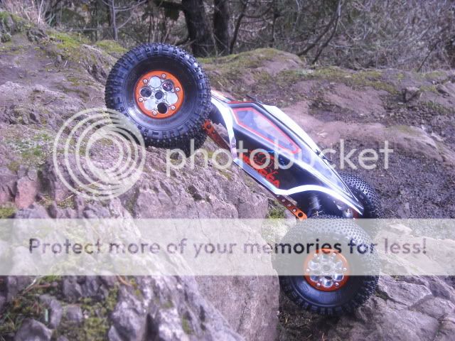 DSCN0062.jpg