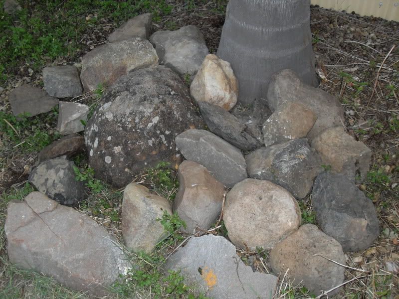 SDC11413.jpg
